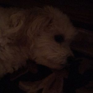 Meet your Posher, Cynthia